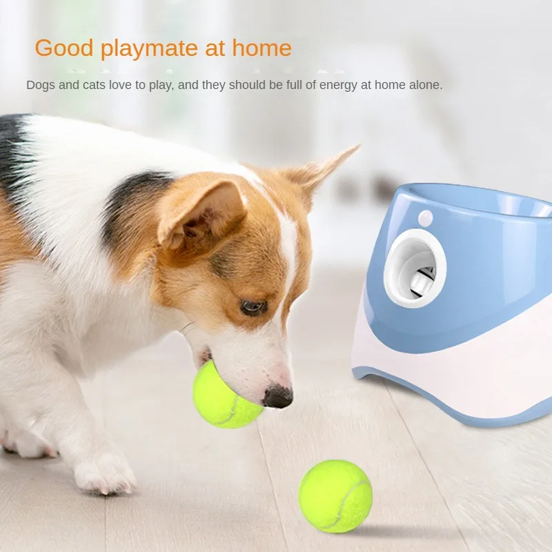 เครื่องยิงลูกเทนนิสสำหรับสุนัข - Pinball Machine บทวิจารณ์และราคา